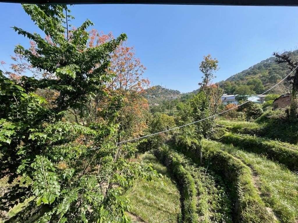 Idyllic Private Cottage W/King Bed + Mountain View Kasauli Exterior photo